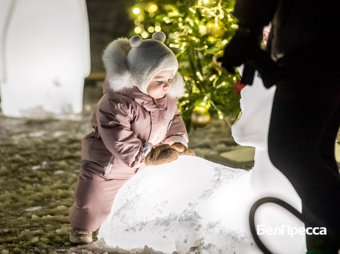 Как предновогодний Белгород радуется зиме (фоторепортаж) Как предновогодний Белгород радуется зиме (фоторепортаж)