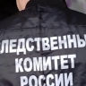 Заступилась за отца: в Приморье 15-летняя школьница зарезала мужчину