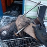 В Курской области пожар в жилом доме произошёл из-за зажжённой свечи