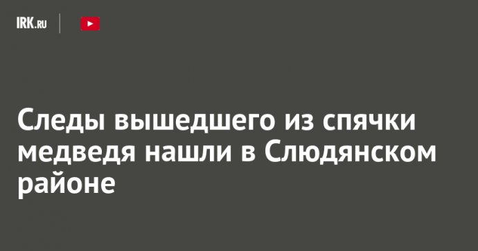 Следы вышедшего из спячки медведя нашли в Слюдянском районе