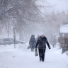 Заметет: синоптики назвали даты, когда пойдет снег в Подмосковье