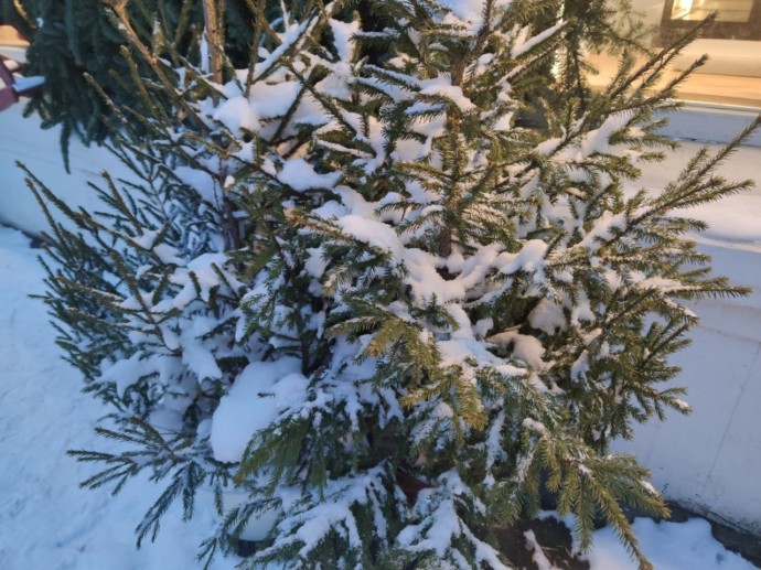 В Башкирии после аномального тепла ударят крещенские морозы