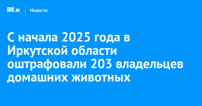 С начала 2025 года в Иркутской области оштрафовали 203 владельцев домашних животных