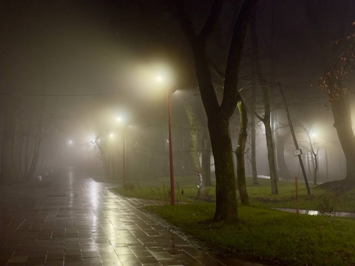 Пензенцев предупреждают о сильном тумане 30 ноября Пензенцев предупреждают о сильном тумане 30 ноября