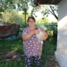 В Курской области аист каждый день прилетает к своей спасительнице