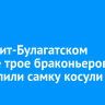В Эхирит-Булагатском районе трое браконьеров застрелили самку косули
