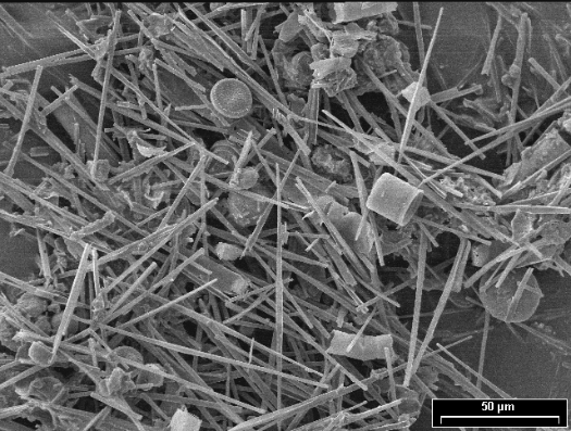 Учёные исследовали осадконакопление на юге Байкала Учёные исследовали осадконакопление на юге Байкала