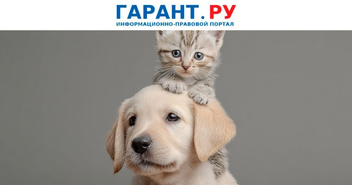 Единый реестр заводчиков домашних животных планируют создать в России