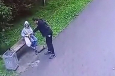 Полиция задержала мигранта за попытку изнасилования девочки в Ленобласти