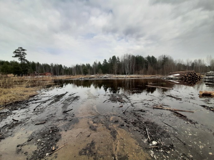 Планам строительства мусорного комплекса под Костромой нанесли ловкий удар