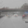 В Башкирии лось погиб под колесами автомобиля