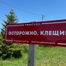 В Башкирии зафиксировали первый укус клеща