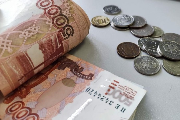 В Госдуме предложили приравнять домохозяйство к оплачиваемой работе