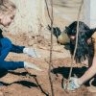 Для юных пациентов астраханской больницы на грант ЛУКОЙЛа создали зеленую зону