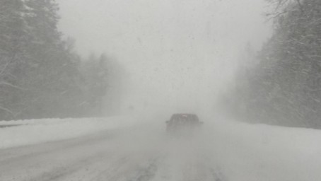 Башкирию завалит снегом — синоптики уточнили прогноз на январь