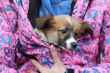 В Уфе провели очередную акцию  «Ищу человека»