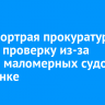 Транспортрая прокуратура начала проверку из-за парада маломерных судов в Листвянке