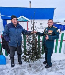 Лесоводы Башкирии подарили семьям участников СВО живые ели