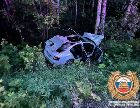 В Башкирии в столкновении с лосем погибли водитель и ребёнок