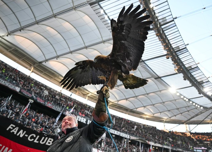 Айнтрахт – Боруссия Дортмунд: прямая трансляция, где смотреть матч онлайн 9 января