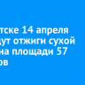 В Иркутске 14 апреля проведут отжиги сухой травы на площади 57 гектаров