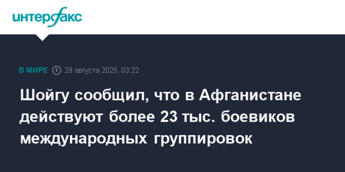 Шойгу сообщил, что в Афганистане действуют более 23 тыс. боевиков международных группировок