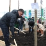 В Уфе в рамках акции «Зелёная Башкирия» высадили более 2,5 тысяч насаждений
