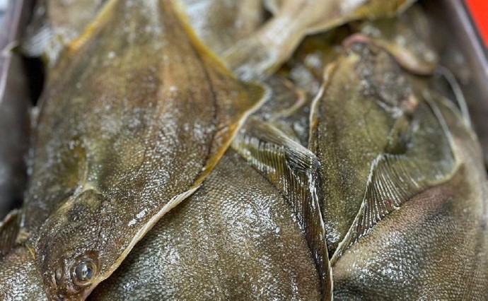 Жителей Южно-Сахалинска приглашают покупать свежую камбалу и сельдь