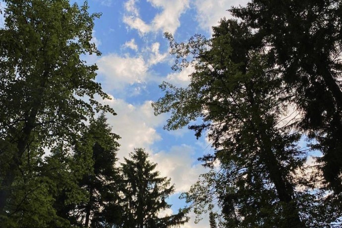 В Пермском крае могут создать новую особо охраняемую природную территорию