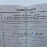 В Бурятии зумеры хотят работать на удалёнке и получать «белую» зарплату