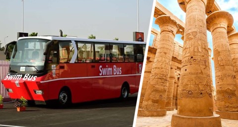 В Египте для туристов запускают невероятный плавающий автобус: чтобы удобнее было добираться до достопримечательностей