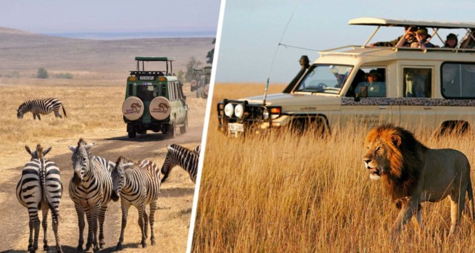 Сафари 2.0 в ритме африканского сердца: Кения переосмысливает туризм, чтобы привлечь миллениалов