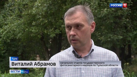 В Тульской области введён карантин по трём вредителям леса