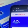Мошенники взяли на вооружение новую схему получения доступа к «Госуслугам»