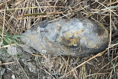 На участке во время расчистки камыша в Темрюкском районе нашли авиабомбу времен ВОВ