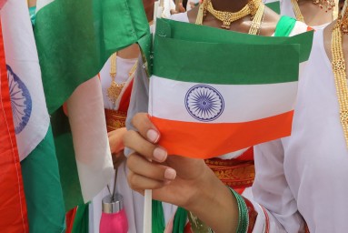 В СФ обозначили основные сферы развития российско-индийского сотрудничества