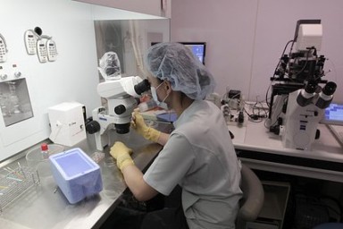 Разработан эффективный метод борьбы с раком крови