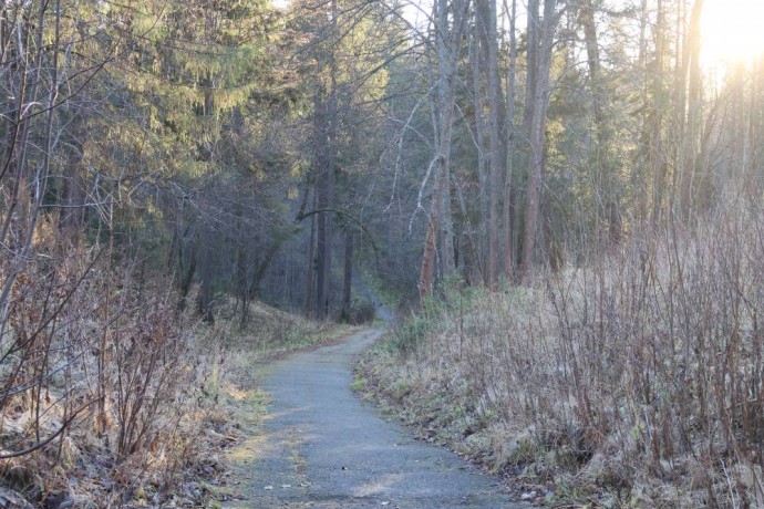 ​Метеорологи спрогнозировали две волны тепла в Пермском крае