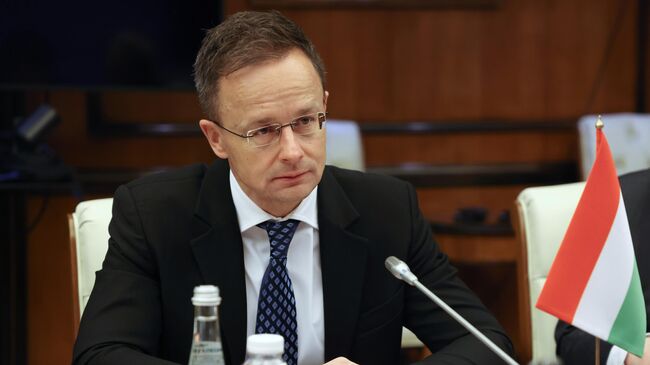 Венгрия призывала к перемирию на Украине с начала конфликта, заявил Сийярто