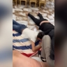 В Ярославской области трое мужчин похитили 20 тонн никеля на более чем 45 миллионов рублей