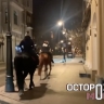 Жители Патриков жалуются на стук копыт. Лошади не дают им спать по ночам