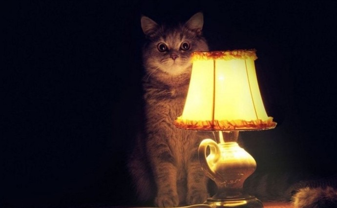 На Сахалине после масштабной аварии восстановили электроснабжение 99% потребителей На Сахалине после масштабной аварии восстановили электроснабжение 99% потребителей