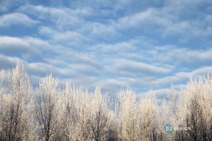 Погода для жителей Великого Новгорода, Боровичей и Старой Руссы с 1 по 7 декабря