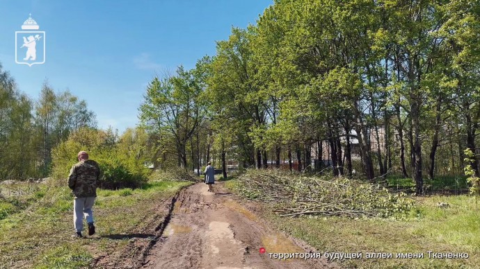В Ярославле приступили к благоустройству аллеи имени Ивана Ткаченко