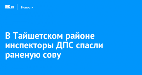 В Тайшетском районе инспекторы ДПС спасли раненую сову