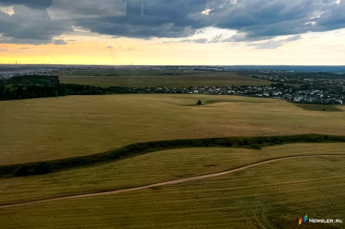 Владельца участка заставят спилить деревья и кусты