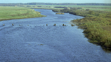 ВС вернул государству земельные участки на берегу Клязьминского водохранилища
