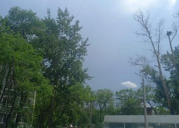 Сильные дожди прольются в Приамурье