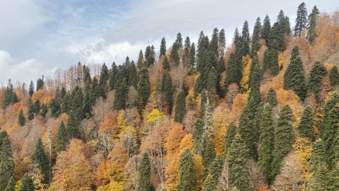 В Башкирии прогнозируются опасные погодные явления