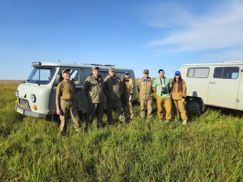 В Забайкалье подсчитали дзеренов